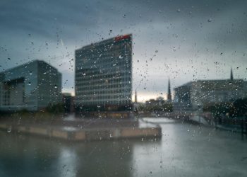 Zäune für Hamburgs Klima: Materialien mit langer Lebensdauer